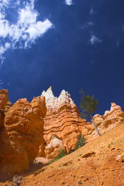 A bryce vörös szikla — Stock Fotó