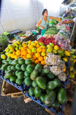 Hilo çiftçiler efruit Pazar
