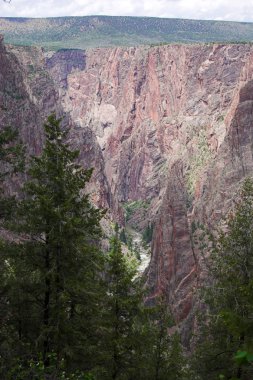Gunnison Nehri