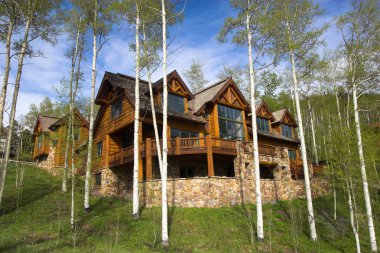 Mountain resort ev