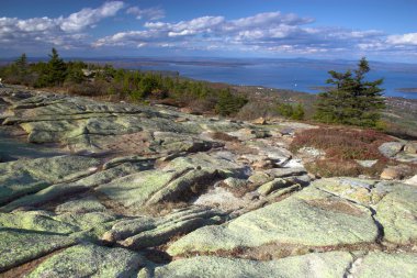 sonbahar yaprakları renkleri