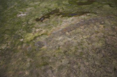 Havadan fotoğraf arka planlar