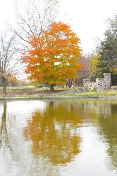 Lago d'autunno — Foto Stock