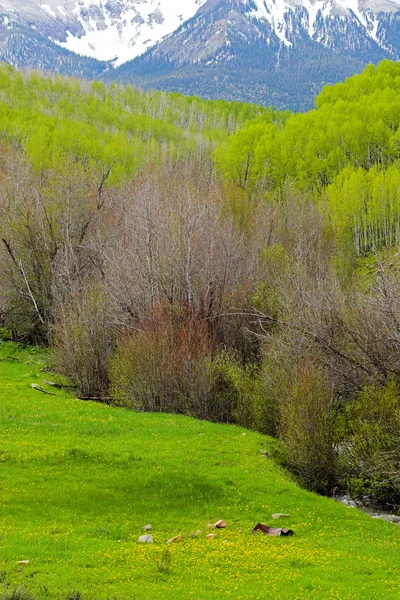 Пагорби і гори — стокове фото