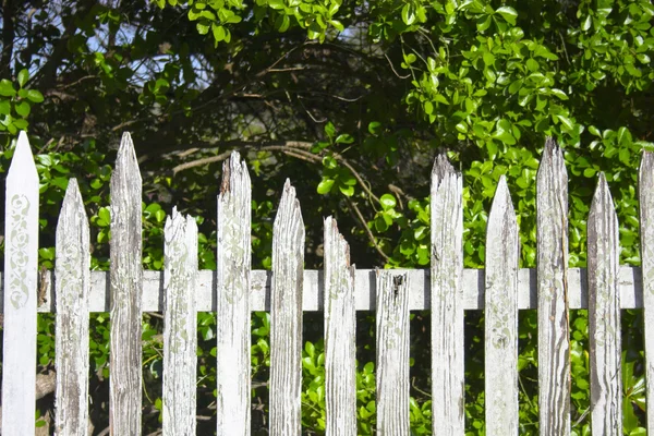 eski Bahçe parçaları