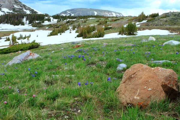 Hegyi táj, a Wyoming — Stock Fotó