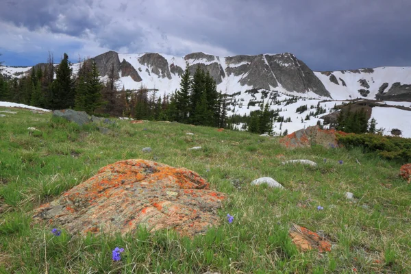 Hegyi táj, a Wyoming — Stock Fotó