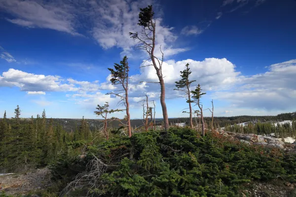 Stenig terräng av wyoming — Stockfoto