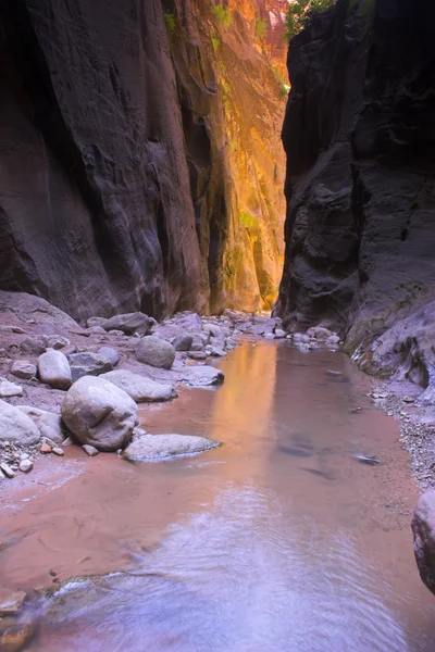 Canyon creeks and rivers — Stock Photo, Image