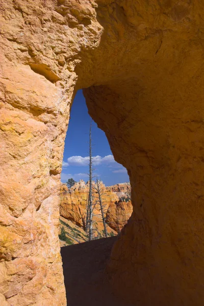 Kemerli kırmızı kaya — Stok fotoğraf