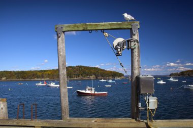 çevre bar harbor