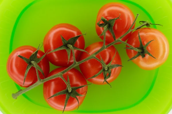 Pomodori su piatto verde — Foto Stock