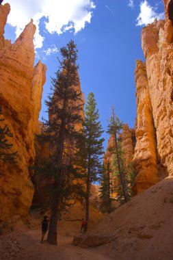 Cedars kırmızı Dağları