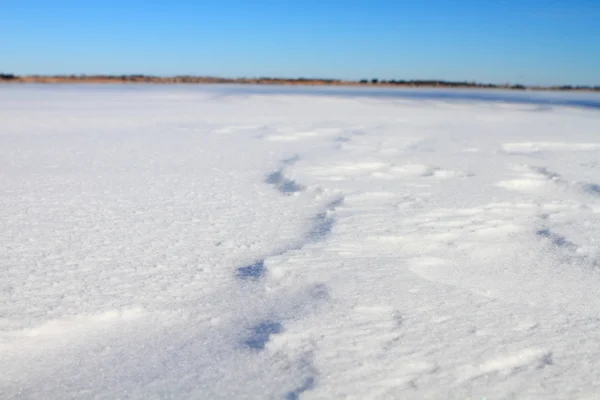 Frozen landscape — Stock Photo, Image