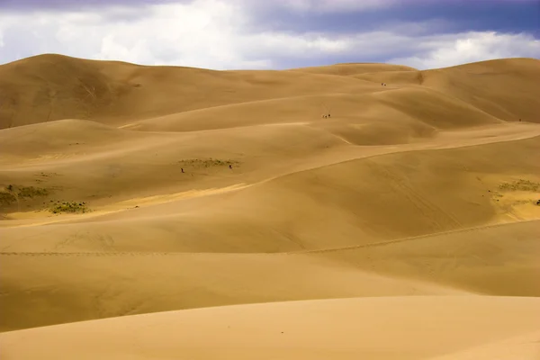 在沙丘中行走 — 图库照片