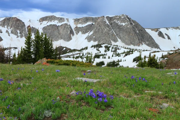 Bergslandskapet i wyoming — Stockfoto