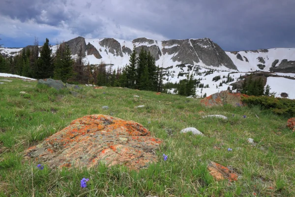 Hegyi táj, a Wyoming — Stock Fotó