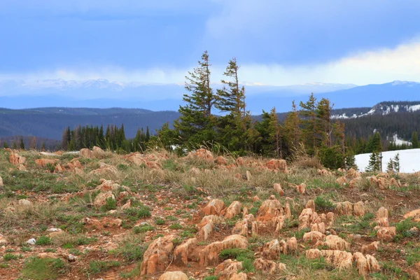 Terreno roccioso del Wyoming — Foto Stock