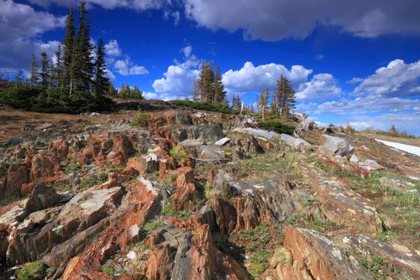 Rotsachtig terrein van wyoming — Stockfoto