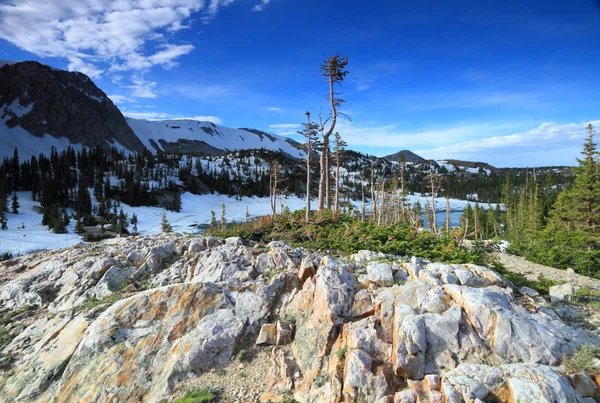 Terrain rocheux du Wyoming — Photo