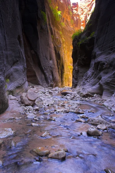 Hikers inside canyon — Stock Photo, Image