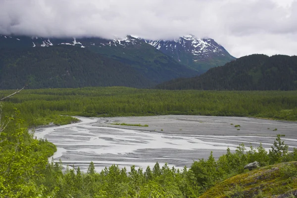 Alaska wetland Royalty Free Stock Photos