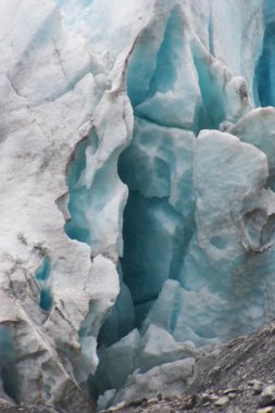 Kenai fiyort Buzulu