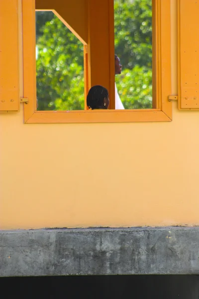 Fragmento tropical — Fotografia de Stock