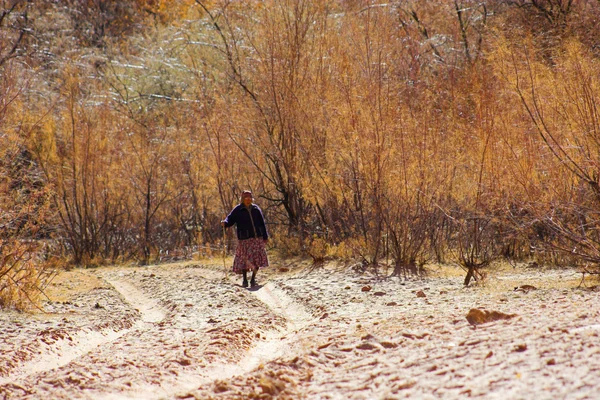 Kanyon de chelle — Stok fotoğraf