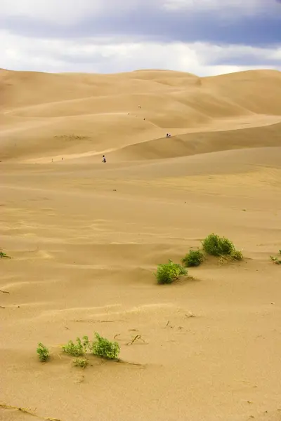 Marche dans les dunes de sable — Photo