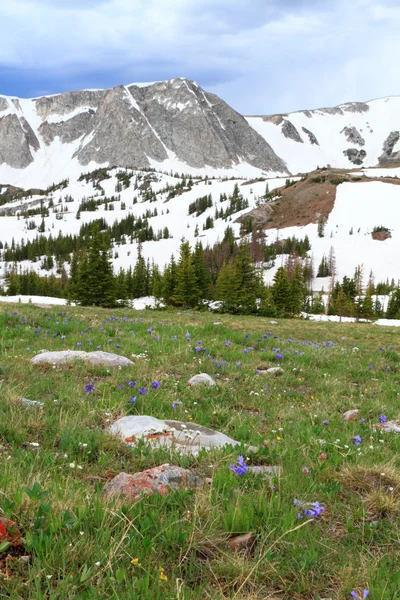 Hegyi táj, a Wyoming — Stock Fotó