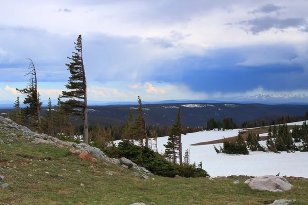 Alpine Landschaft — Stockfoto