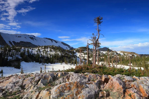 Rocky terrain of Wyoming — Stock Photo, Image