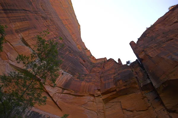 Zion-Nationalpark — Stockfoto