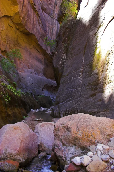 Canyon bäckar och floder — Stockfoto