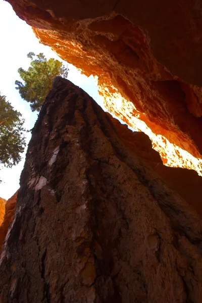 Cedars kırmızı Dağları — Stok fotoğraf