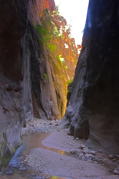 Каньйон струмків та річок Ліцензійні Стокові Зображення