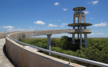 Florida everglades gözetleme kulesi