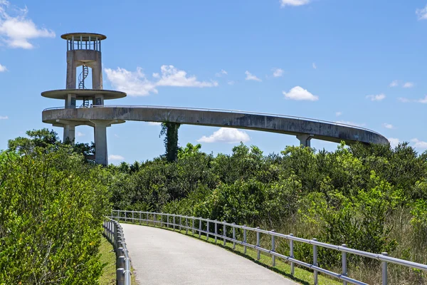 Florida Everglades Observation Tower — Stock Photo, Image