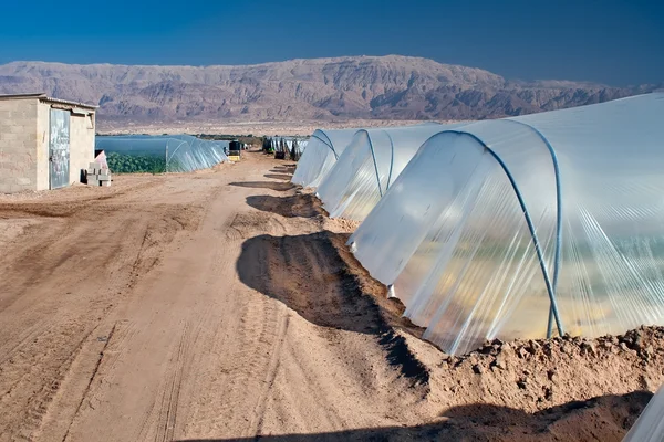 Greenhouses in the Dead Sea. — Stock Photo, Image