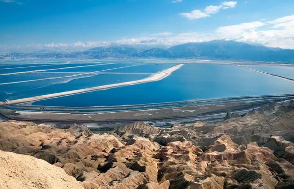 Pools plants Dead Sea. — Stock Photo, Image