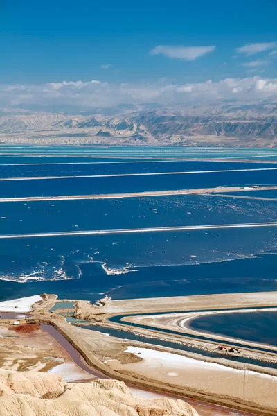 Pools plants Dead Sea. — Stock Photo, Image