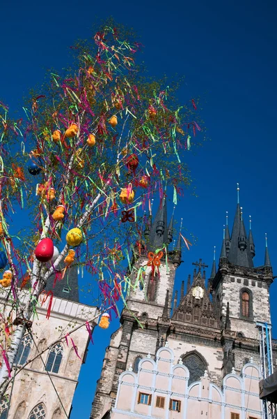 Albero di Pasqua a Praga . — Foto Stock