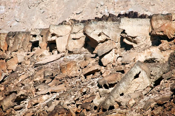 Fantastically shaped rocks in the Negev desert. — Stock Photo, Image