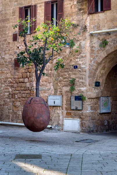 Jaffa Israel Prosince 2021 Staré Město Instalace Oranžového Stromu — Stock fotografie