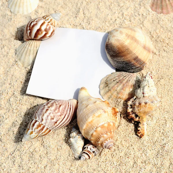 Blått papir på hvit sandstrand – stockfoto