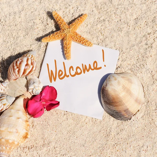 Tomt papper beach sand sjöstjärna skal sommaren — Stockfoto