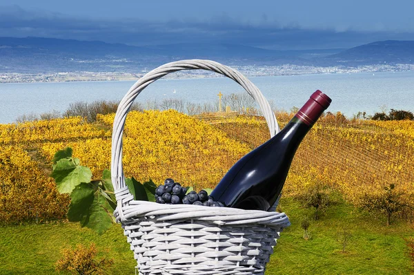 Platteland in de buurt van neuchatel stad, Zwitserland — Stockfoto