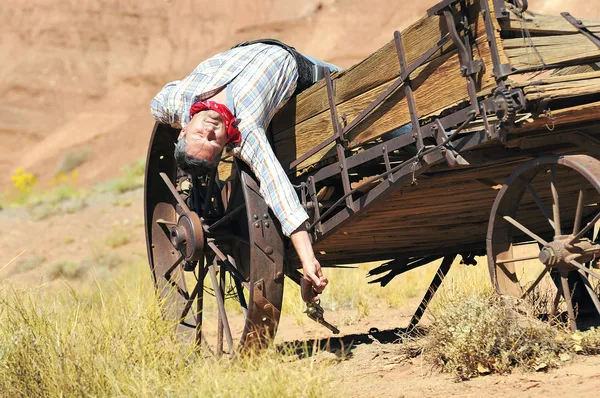 Ko pojke anda — Stockfoto