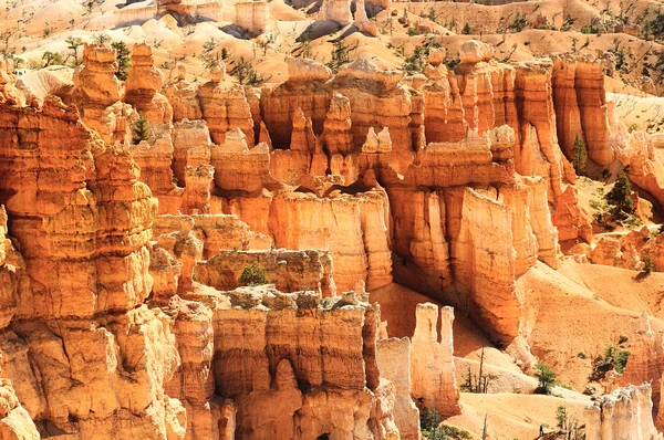 Bryce Canyon Ordförande — Stockfoto